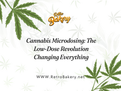 Cannabis Microdosing: The Low-Dose Revolution Changing Everything