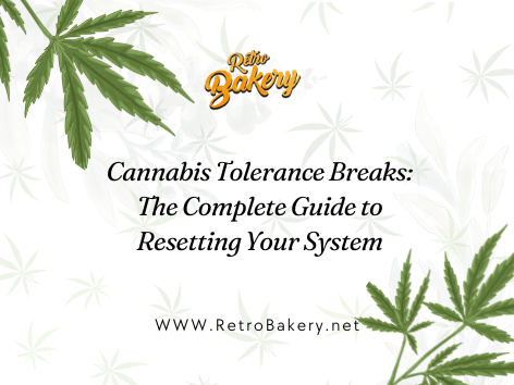 Cannabis Tolerance Breaks: The Complete Guide to Resetting Your System