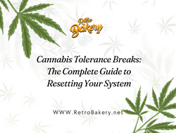 Cannabis Tolerance Breaks: The Complete Guide to Resetting Your System