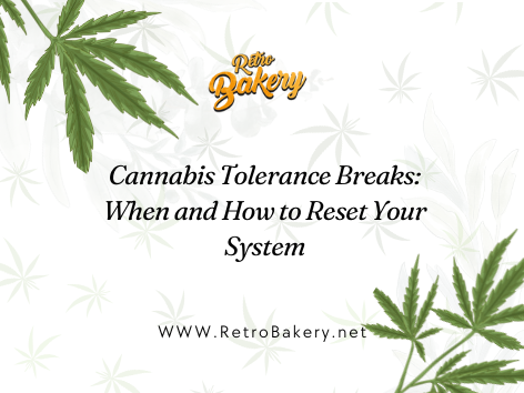 Cannabis Tolerance Breaks: When and How to Reset Your System