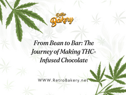 From Bean to Bar: The Journey of Making THC-Infused Chocolate
