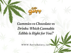 Gummies vs Chocolate vs Drinks: Which Cannabis Edible is Right for You?