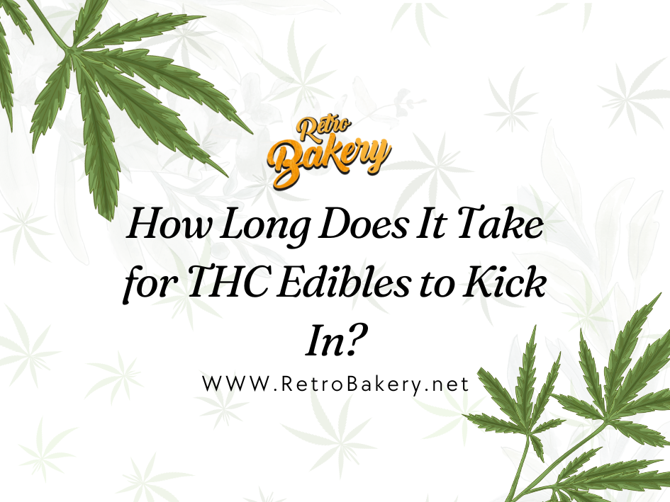 How Long Does It Take for THC Edibles to Kick In?