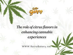 The role of citrus flavors in enhancing cannabis experiences