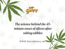 The science behind the 45-minute onset of effects after taking edibles